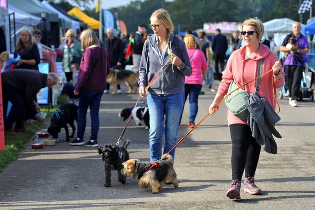 Paws in the park event at South of England showground, Ardingly. Pic S Robards SR2110091 SUS-210910-172937001