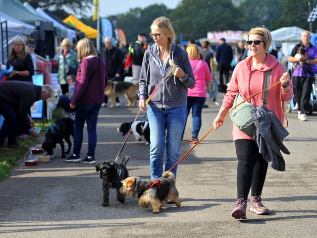 Paws in the park event at South of England showground, Ardingly. Pic S Robards SR2110091 SUS-210910-172937001