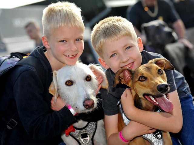 Paws in the park event at South of England showground, Ardingly. Pic S Robards SR2110091 SUS-210910-172720001