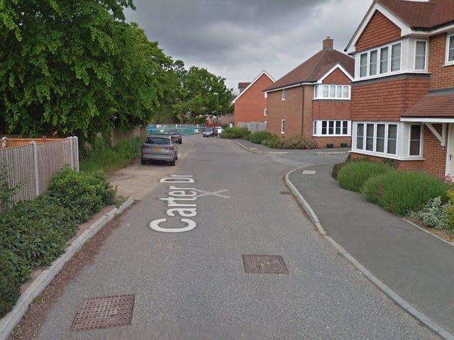 Angela Heasman said Carter Drive's speed limit should reduced. Photo: Google Streetview