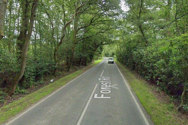 Jennie Collison said Forest Road's speed limit should reduced. Photo: Google Streetview