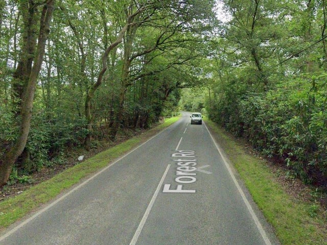 Jennie Collison said Forest Road's speed limit should reduced. Photo: Google Streetview