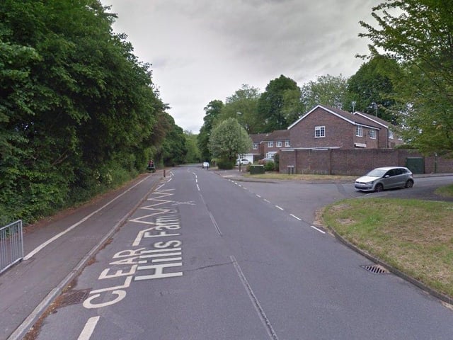 Elizabeth Gladman Rogers said Hills Farm Road's speed limit should reduced. Photo: Google Streetview
