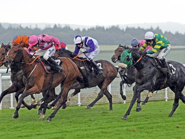 Action and scenes from Goodwood's final flat racing meeting of the season / Pictures: Malcolm Wells
