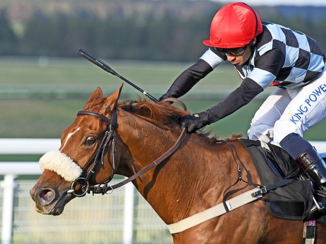 Action and scenes from Goodwood's final flat racing meeting of the season / Pictures: Malcolm Wells
