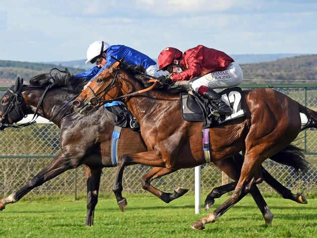 Action and scenes from Goodwood's final flat racing meeting of the season / Pictures: Malcolm Wells