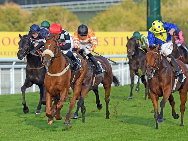 Action and scenes from Goodwood's final flat racing meeting of the season / Pictures: Malcolm Wells