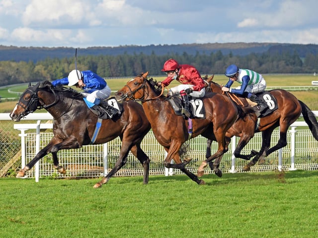 Action and scenes from Goodwood's final flat racing meeting of the season / Pictures: Malcolm Wells