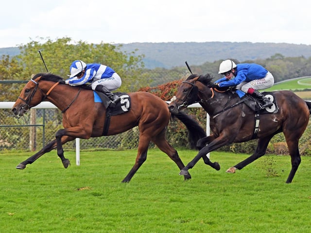 Action and scenes from Goodwood's final flat racing meeting of the season / Pictures: Malcolm Wells