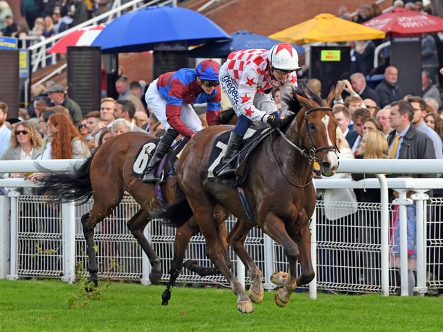 Action and scenes from Goodwood's final flat racing meeting of the season / Pictures: Malcolm Wells
