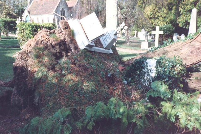 A grave damaged by a tree brought down in the wind