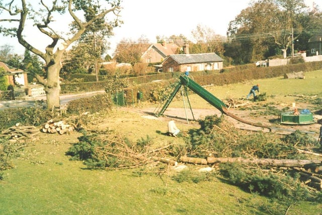 Trees brought down in Battle