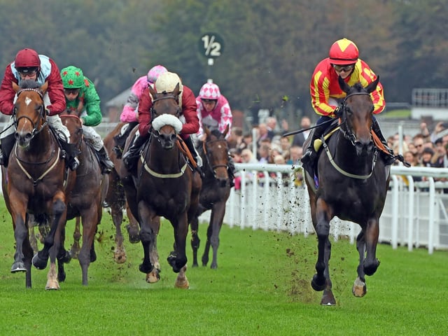 Action and scenes from Goodwood's final flat racing meeting of the season / Pictures: Malcolm Wells