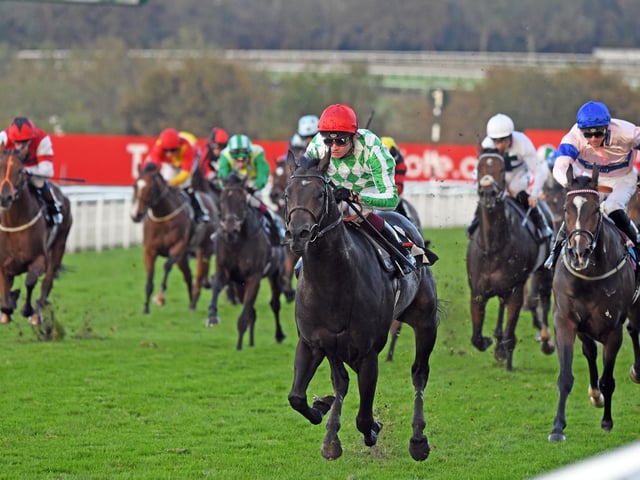 Action and scenes from Goodwood's final flat racing meeting of the season / Pictures: Malcolm Wells