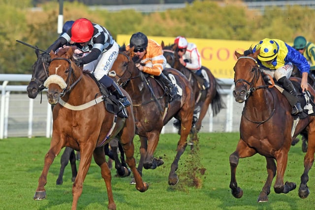 Action and scenes from Goodwood's final flat racing meeting of the season / Pictures: Malcolm Wells