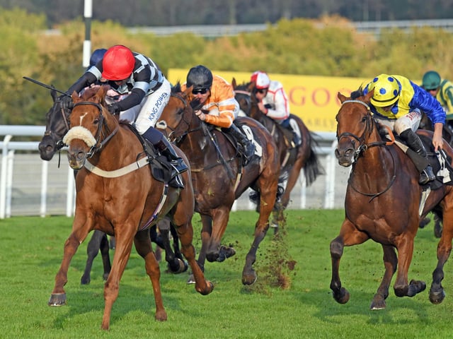 Action and scenes from Goodwood's final flat racing meeting of the season / Pictures: Malcolm Wells