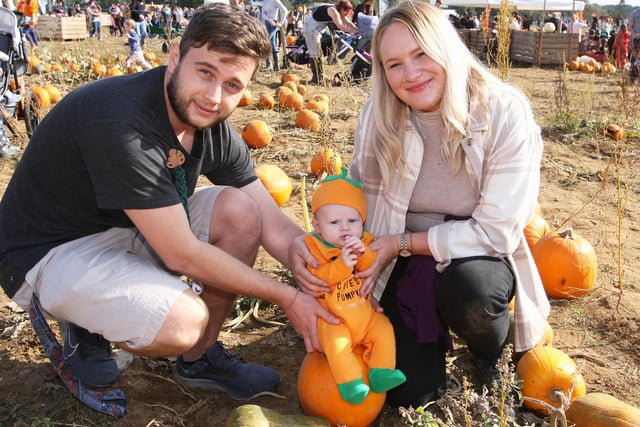 People of all ages enjoy the pumpkin patch.
