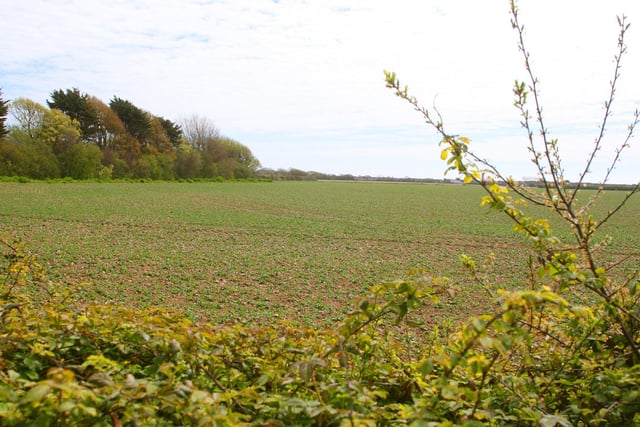 Sixteen acres of arable fields could make way for 320 homes.