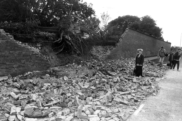 A wall demolished by an uprooted tree at Bishop’s Palace Gardens, Chichester, in the Great Storm in 1987