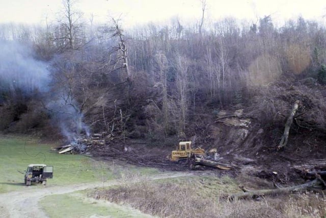 Arundel Park after the Great Storm in 1987