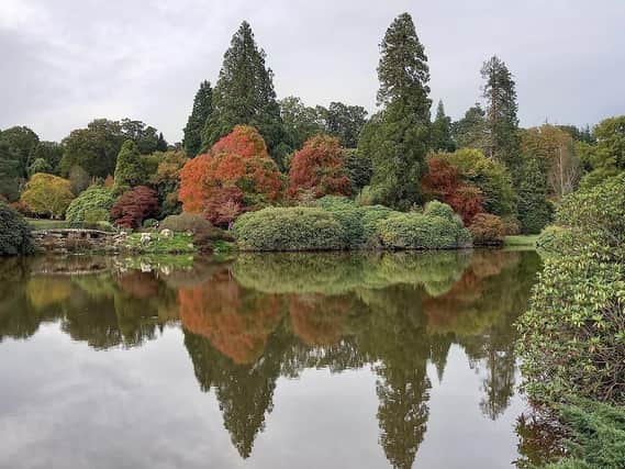 There are lots of beautiful views to enjoy the autumn canvass of colours at Sheffield Park