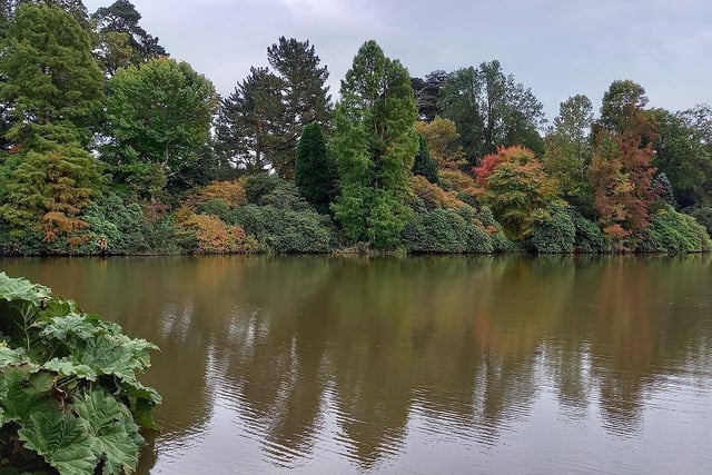 Autumnal reflections at one of the lakes at Sheffield Park