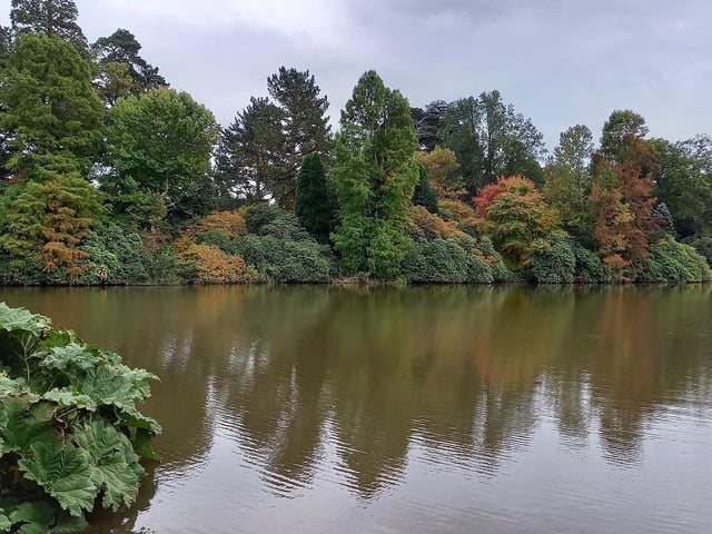 Autumnal reflections at one of the lakes at Sheffield Park