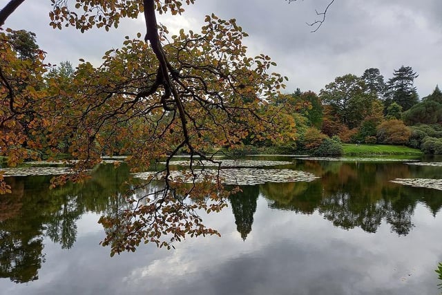 An autumnal view across one of the lakes at the park