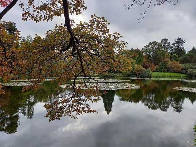 An autumnal view across one of the lakes at the park