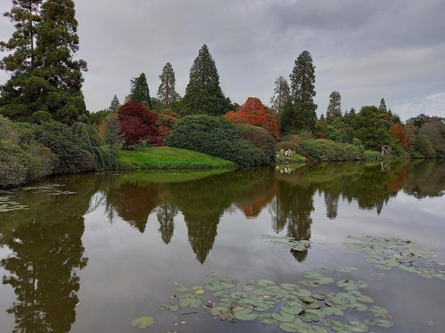 The trees embrace the changing colours of autumn