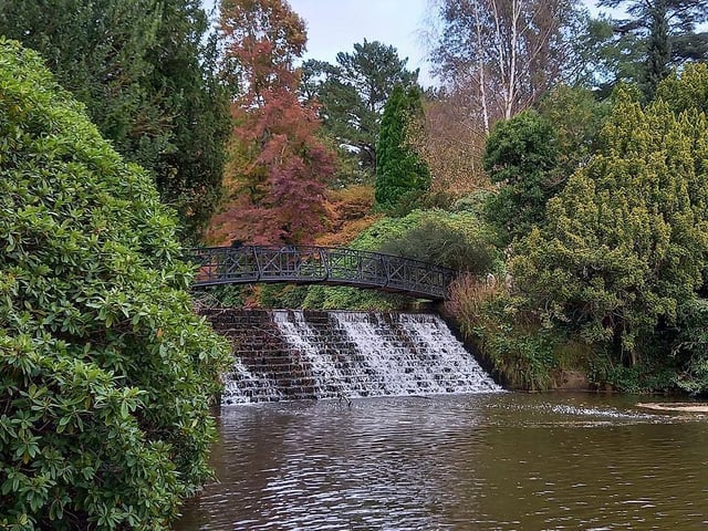 Autumn colours provide the perfect backdrop for the water falling gently under a footbridge