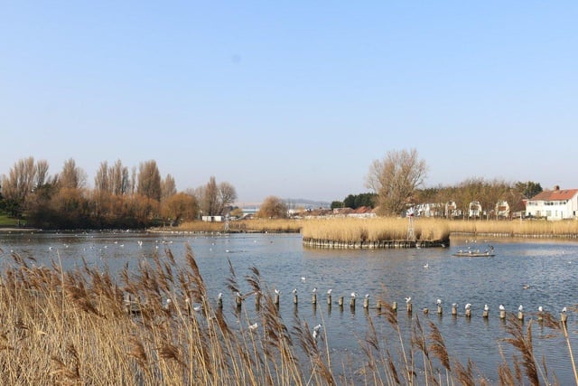 Yes, we know Brooklands isn't what it once was but it's still a great place to visit with the children. Especially good for young ones who are interested in birds! Picture: Adur & Worthing Councils
