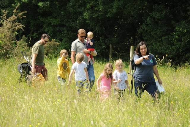 Children can enjoy a range of outdoor activities at Chesworth Farm, Horsham, RH13 0AA.
The 90 acre farmland is great for walks and cycles with the family this half term. The farm incorporates grassland, the River Arun, wet meadow and access to the countryside for a free day out in nature.
Picture credit: Miles Davies