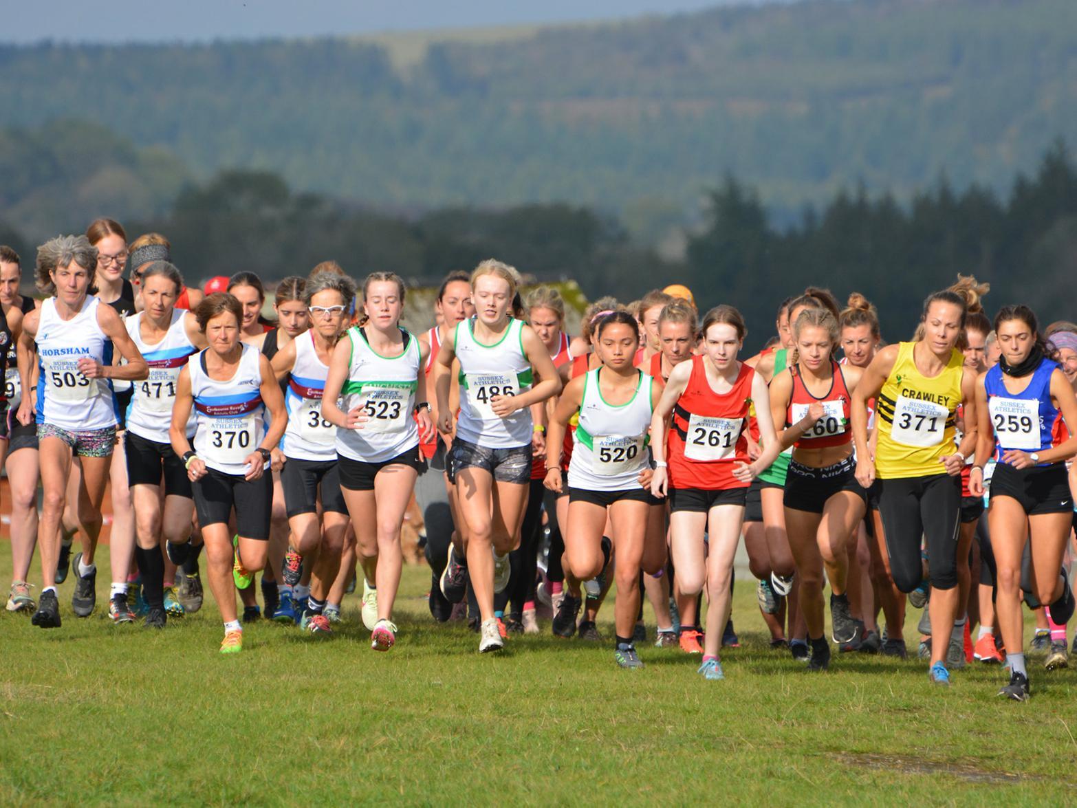 Action from the first of this season's Sussex Cross Country League fixtures, held at Goodwood country park / Pictures: Lee Hollyer
