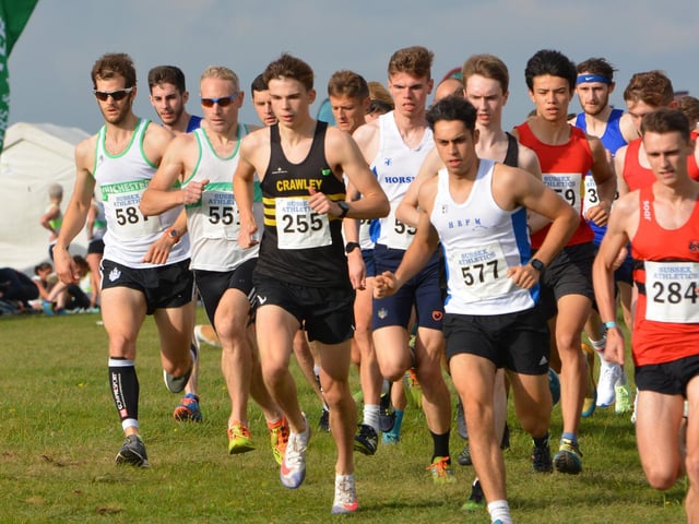 Action from the first of this season's Sussex Cross Country League fixtures, held at Goodwood country park / Pictures: Lee Hollyer