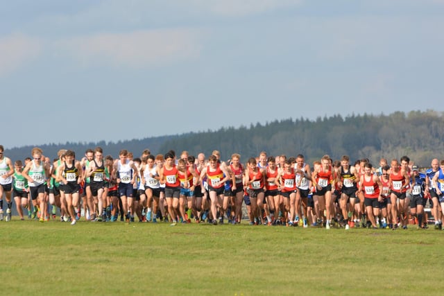 Action from the first of this season's Sussex Cross Country League fixtures, held at Goodwood country park / Pictures: Lee Hollyer