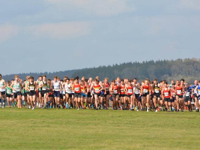 Action from the first of this season's Sussex Cross Country League fixtures, held at Goodwood country park / Pictures: Lee Hollyer