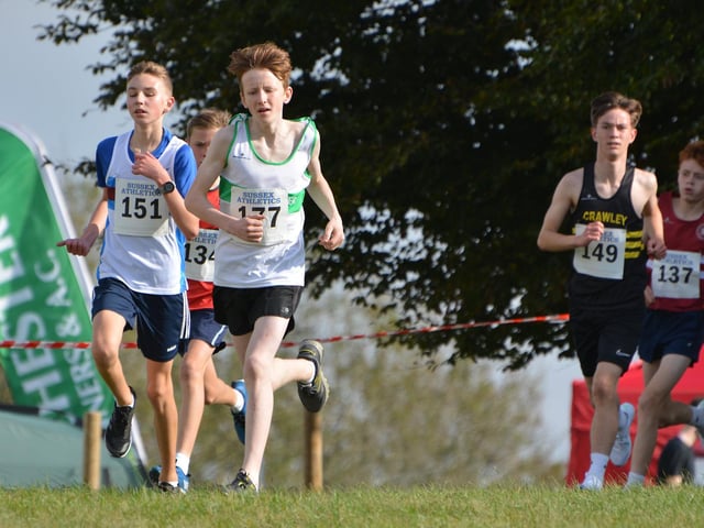 Action from the first of this season's Sussex Cross Country League fixtures, held at Goodwood country park / Pictures: Lee Hollyer