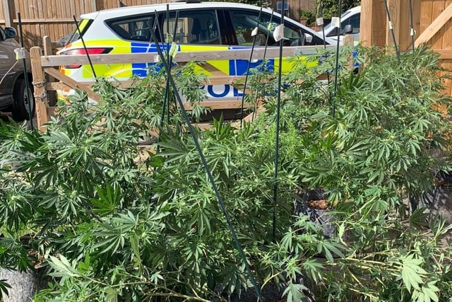 Police found drugs worth £170,000 at the site
