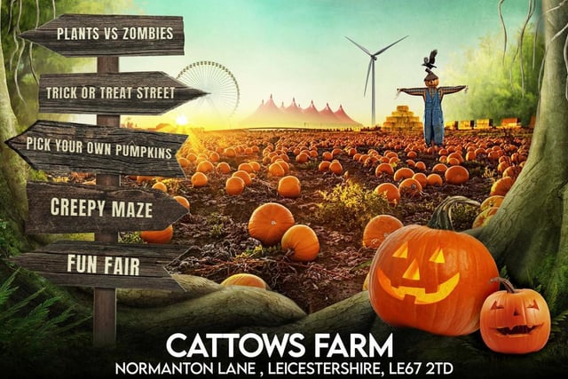 For the whole of October, Cattows Farm is transforming itno Halloween Farm as they go "bigger, better and spookier than ever before!" Pick your own pumpkins, embark on an adventure in Halloween Fantasy Land, snap some spooky shots in the family photo and selfie zones, venture down the interactive 'Trick or Treat' street, take part in an immersive 'Plants vs Zombies' experience or try not to get lost in the creepy maze. There will also be a live DJ and food outlets. Entry is £2 per person and includes car parking. Book your slot at www.thehalloweenfarm.co.uk. Address: Cattows Farm, Normanton Lane, Heather, Leicestershire, LE67 2TD.