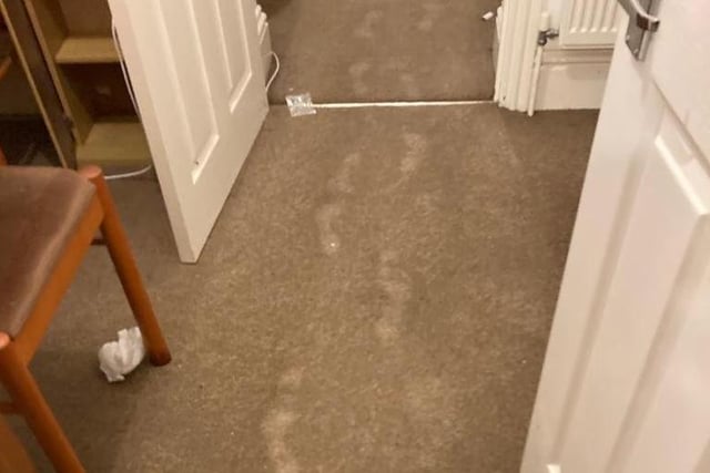 Sodden carpets in Rob's South Terrace flat show people's footprints