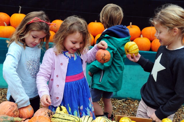 Fun at the Slindon Pumpkin Festival in 2017. Pictures: Kate Shemilt