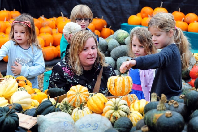 Fun at the Slindon Pumpkin Festival in 2017. Pictures: Kate Shemilt