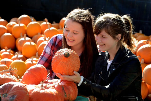 Pumpkin grower 
John Upton and installation artist Mark Ford created the 2018 display and everyone had a great time choosing their pumpkins. Pictures: Kate Shemilt