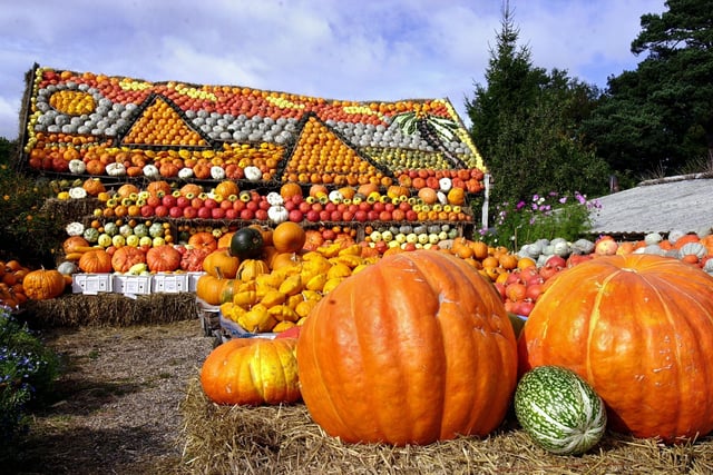 The colourful display of pumpkins and gourds in Slindon in 2005. Picture: Malcolm McCluskey