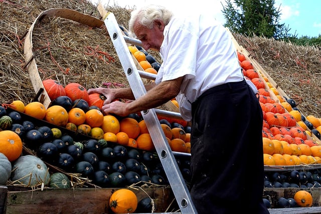 Ralph Upton creating his 2006 pumpkin display. Picture: Malcolm McCluskey