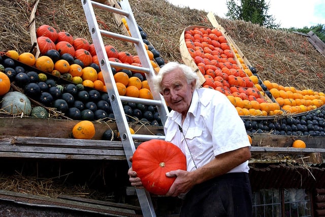 Ralph Upton creating his 2006 pumpkin display. Picture: Malcolm McCluskey