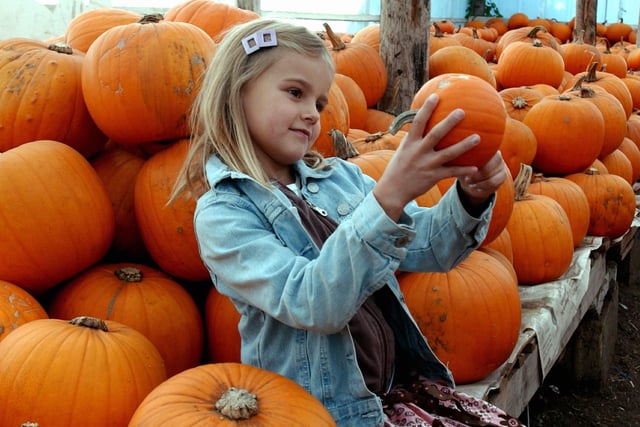 Ella Rubython picks out a pumpkin at the Slindon nursery in October 2007. Picture: Louise Adams