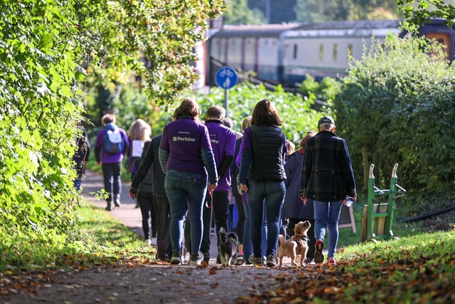 The walk took place at Ferry Meadows. pic: 'Anthony Hylton Photography