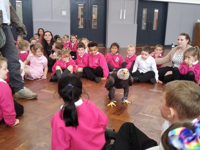 Children at Heron Park Primary Academy were excited to welcome lots of visitors to school on Friday, October 8. Two pirates came to visit Year 2 children to sing sea shanties to tie in with their current topic. The pirates were happy to meet the children and the sound of their songs could be heard throughout school. Also visiting the school on Friday were some birds of prey, and their owner, who met with Year 1, Year 3 and Year 6 children who were all thrilled to be up close to such beautiful creatures - particularly the bald eagle (pictured), which was the star of the show. SUS-211029-103614001